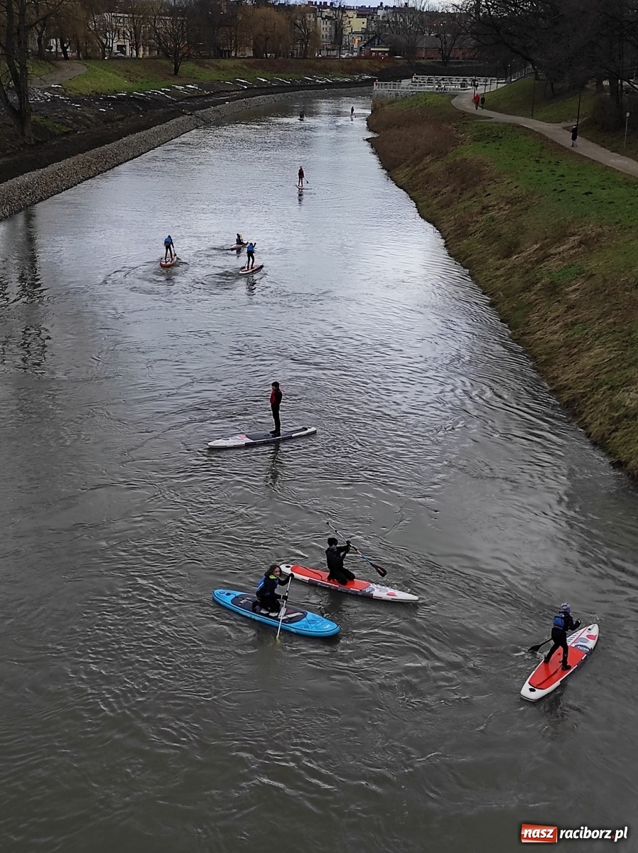Zdjęcie w galerii na portalu naszraciborz.pl: Wioślarze z Raciborza ostro ćwiczą na Odrze wiadomości z regionu