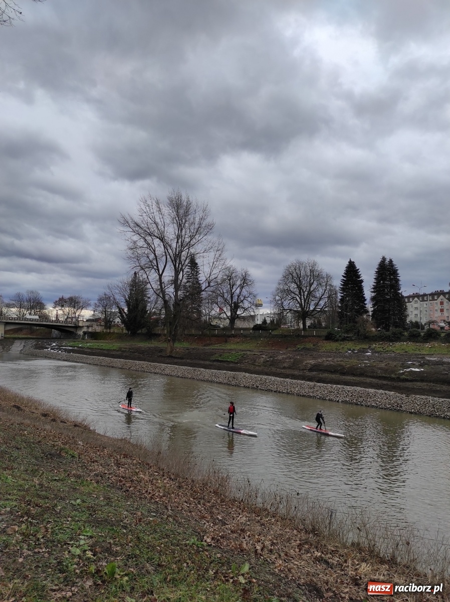 Zdjęcie w galerii na portalu naszraciborz.pl: Wioślarze z Raciborza ostro ćwiczą na Odrze wiadomości z regionu