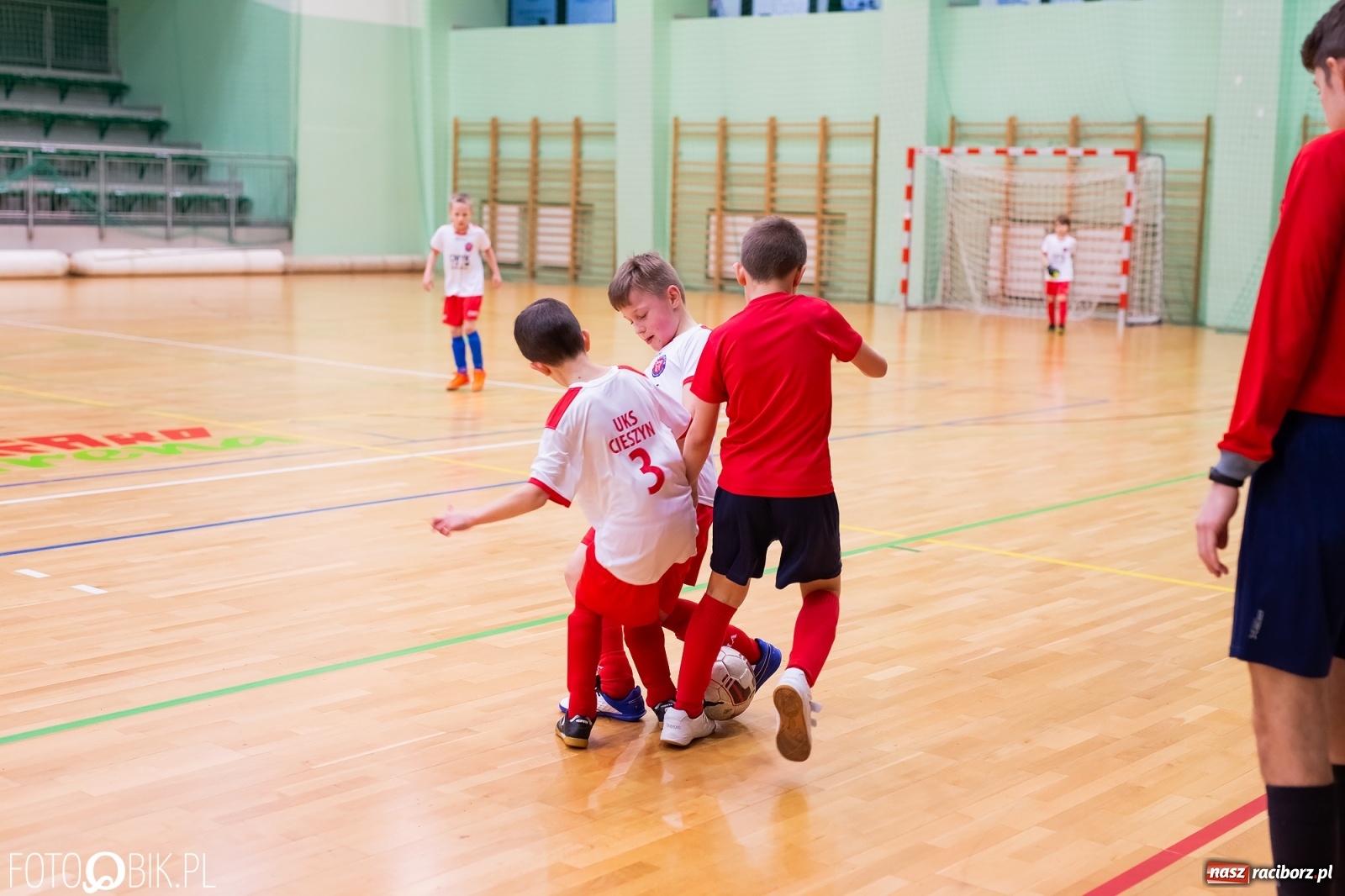 Zdjęcie w galerii na portalu naszraciborz.pl: Turniejowa niedziela w Arenie Rafako [FOTO] wiadomości z regionu