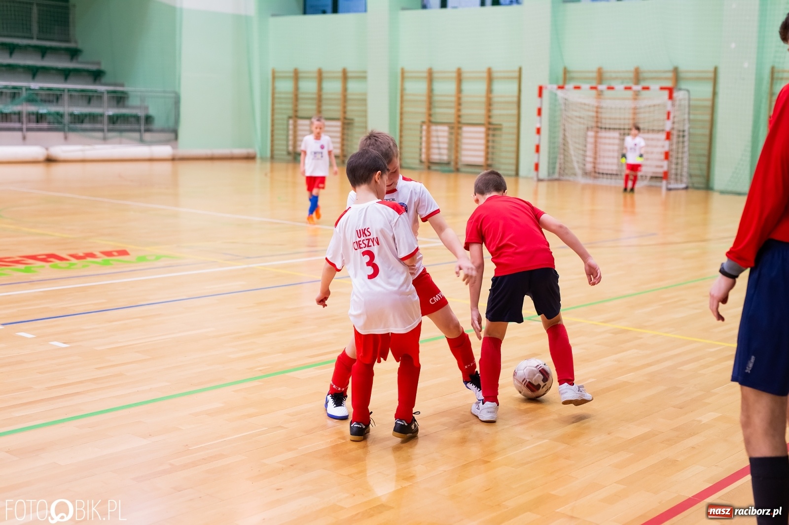 Zdjęcie w galerii na portalu naszraciborz.pl: Turniejowa niedziela w Arenie Rafako [FOTO] wiadomości z regionu