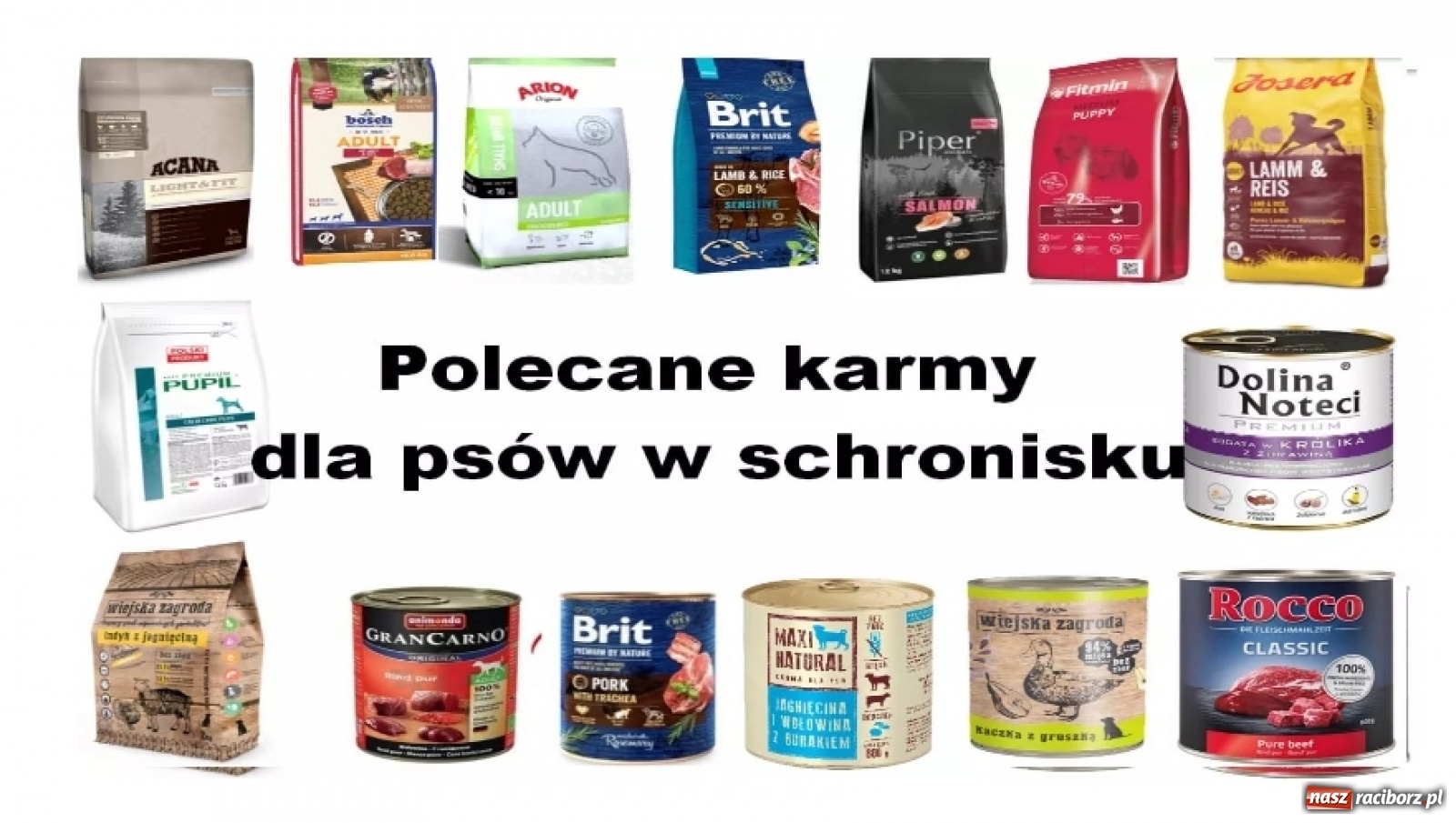 Zdjęcie w galerii na portalu naszraciborz.pl: Diecezjalne LO w Raciborzu pomaga zwierzakom. Dołącz do akcji wiadomości z regionu