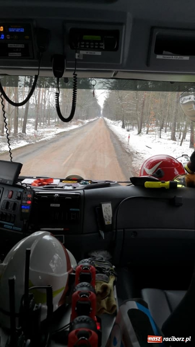 Zdjęcie w galerii na portalu naszraciborz.pl: Raport 998. Obornik na jezdni w Kuźni Raciborskiej wiadomości z regionu