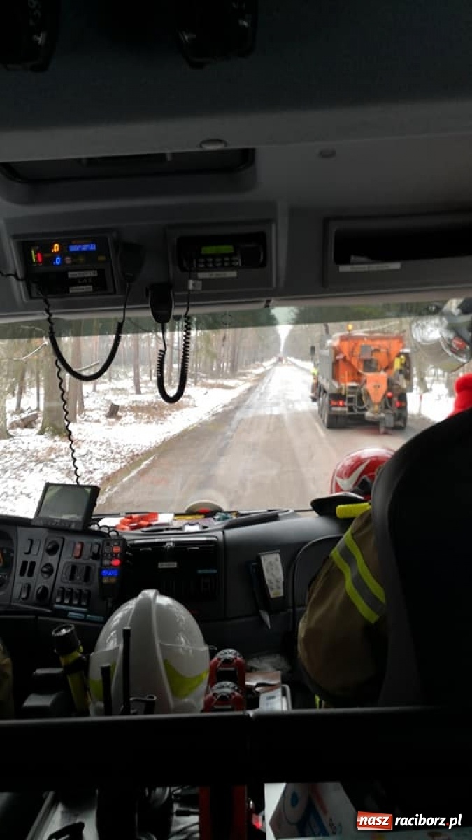 Zdjęcie w galerii na portalu naszraciborz.pl: Raport 998. Obornik na jezdni w Kuźni Raciborskiej wiadomości z regionu