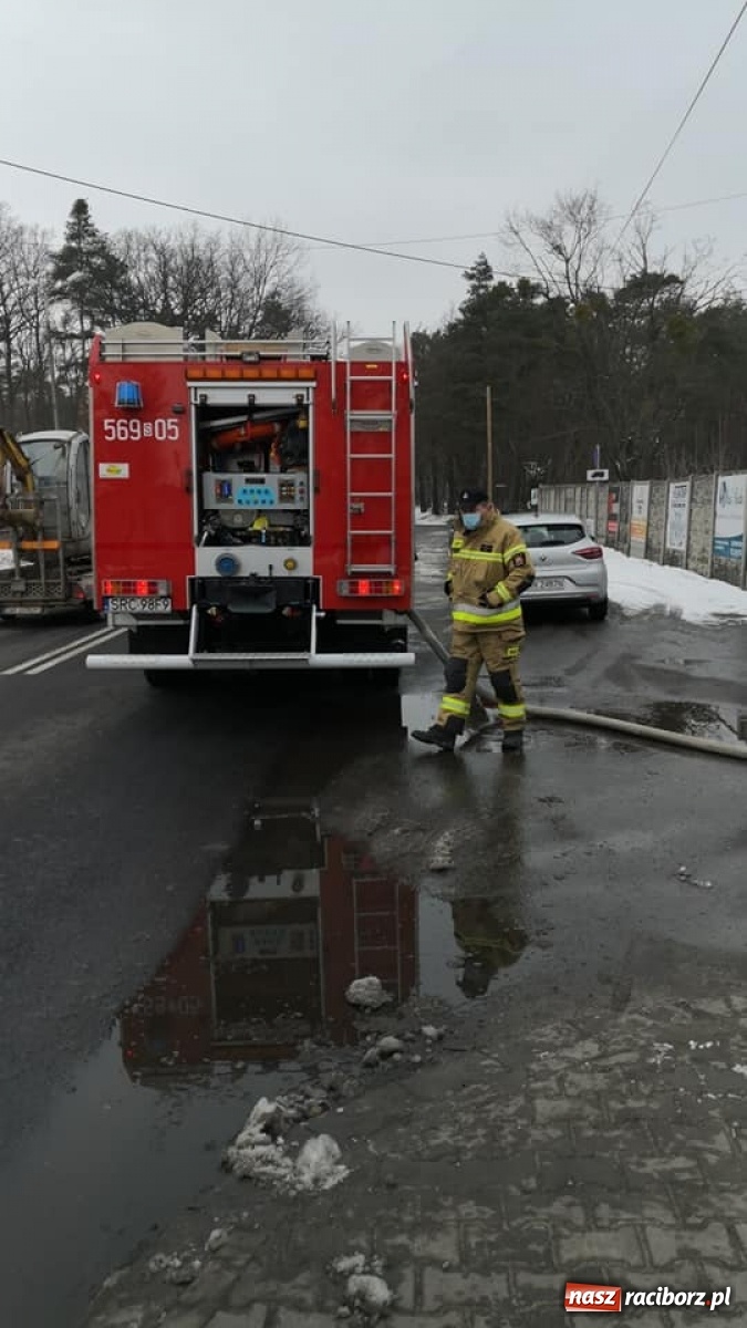 Zdjęcie w galerii na portalu naszraciborz.pl: Raport 998. Obornik na jezdni w Kuźni Raciborskiej wiadomości z regionu