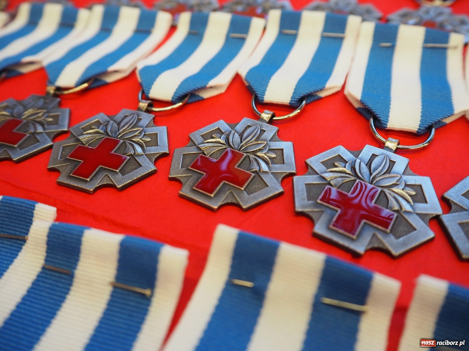 Zdjęcie w galerii na portalu naszraciborz.pl: RCKiK uhonorowało zasłużonych krwiodawców wiadomości z regionu