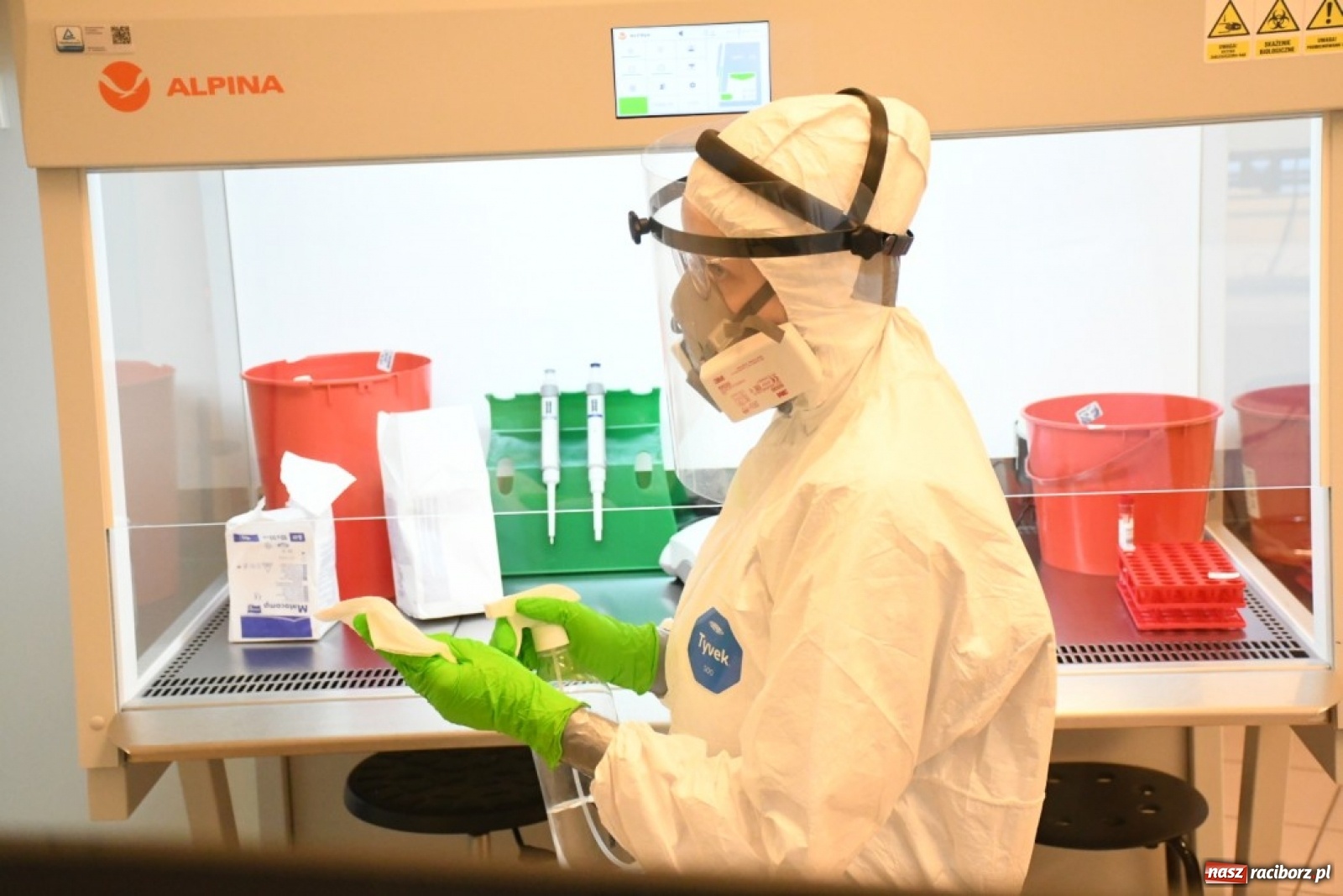 Zdjęcie w galerii na portalu naszraciborz.pl: Naukowcy dokładnie zbadają koronawirusa występującego na Śląsku wiadomości z regionu