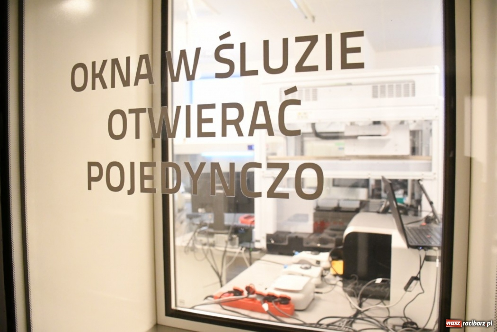 Zdjęcie w galerii na portalu naszraciborz.pl: Naukowcy dokładnie zbadają koronawirusa występującego na Śląsku wiadomości z regionu