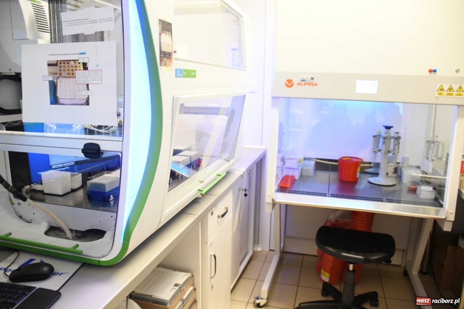 Zdjęcie w galerii na portalu naszraciborz.pl: Naukowcy dokładnie zbadają koronawirusa występującego na Śląsku wiadomości z regionu