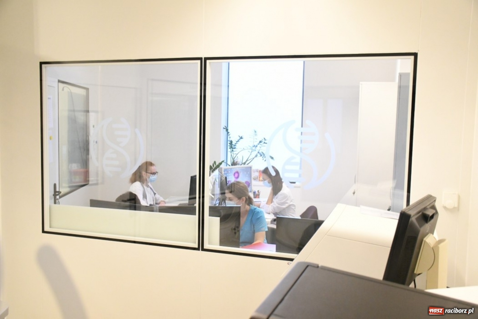 Zdjęcie w galerii na portalu naszraciborz.pl: Naukowcy dokładnie zbadają koronawirusa występującego na Śląsku wiadomości z regionu