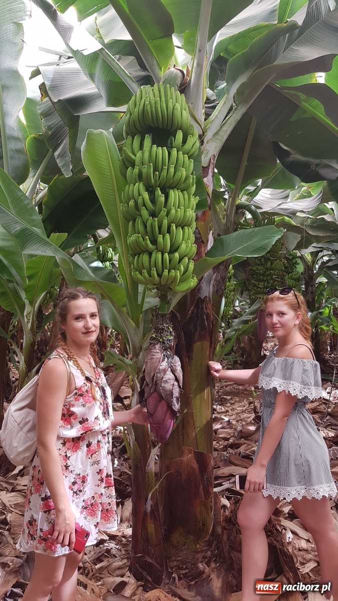 Zdjęcie w galerii na portalu naszraciborz.pl: Praktyki marzeń w Portugalii i Hiszpanii - szósty projekt w CKZiU nr 1 w Raciborzu wiadomości z regionu