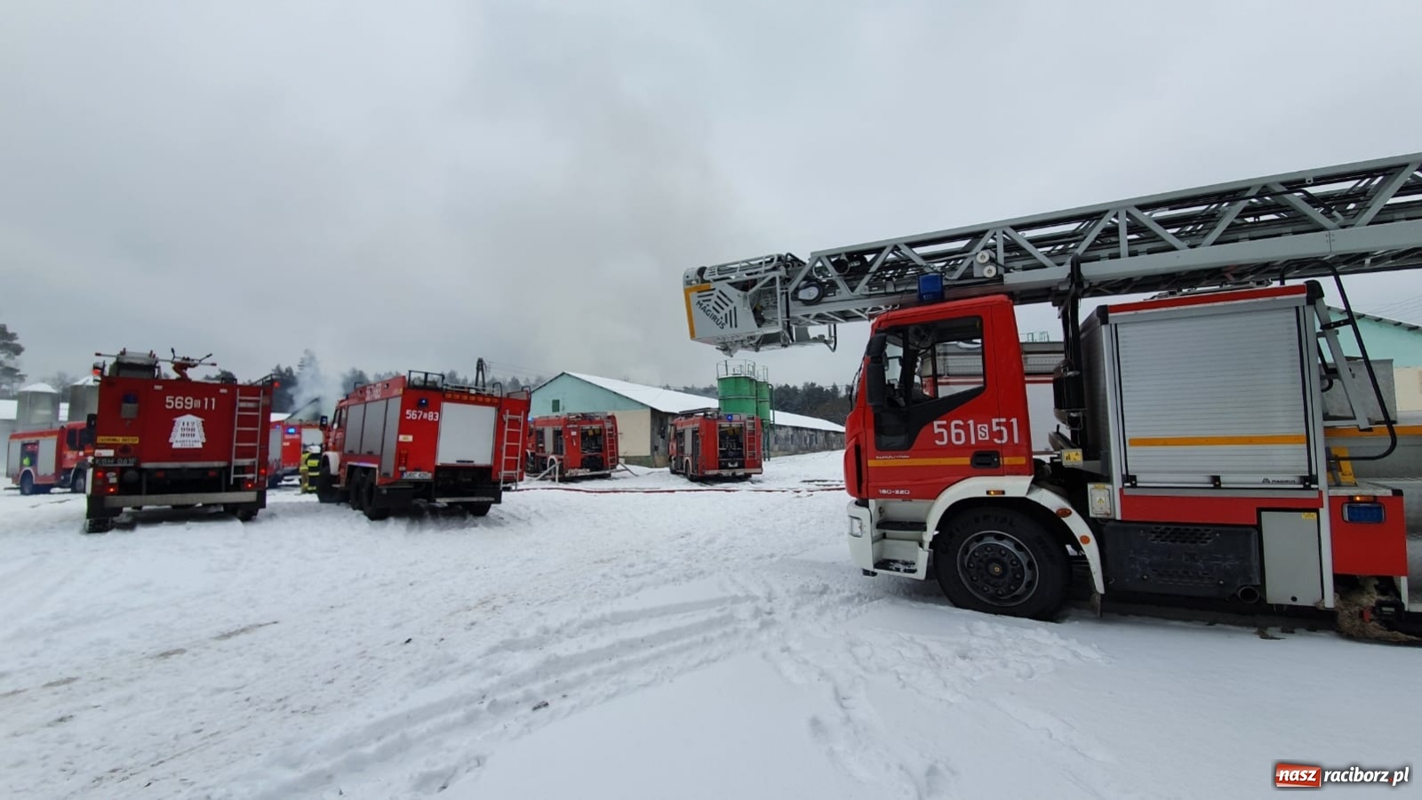 Zdjęcie w galerii na portalu naszraciborz.pl: Dym nad Rudami. Pożar na farmie drobiu wiadomości z regionu
