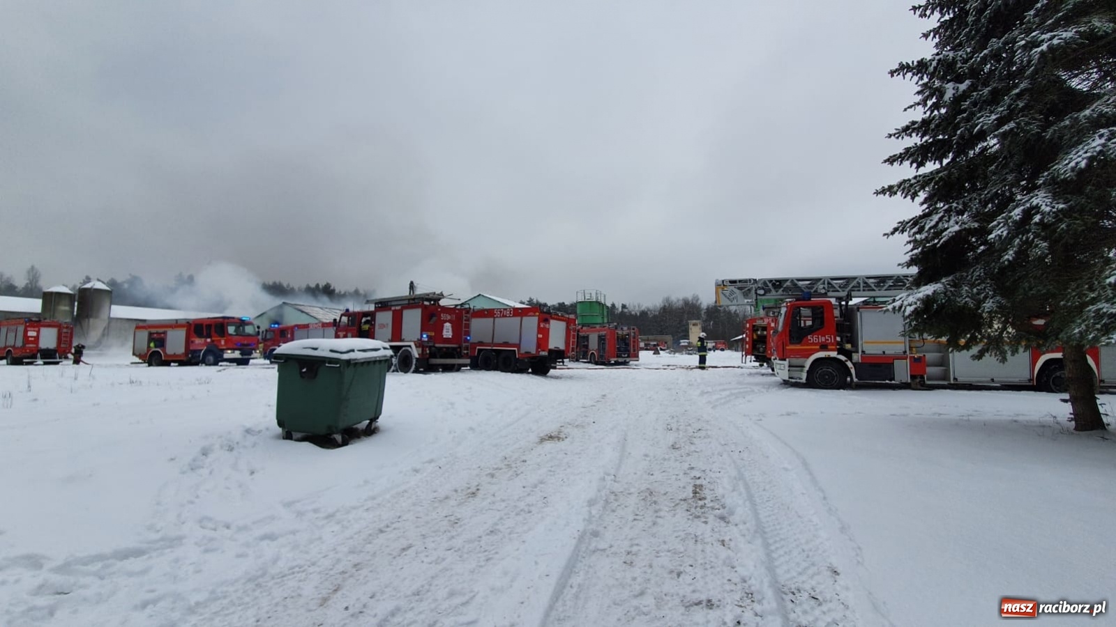 Zdjęcie w galerii na portalu naszraciborz.pl: Dym nad Rudami. Pożar na farmie drobiu wiadomości z regionu