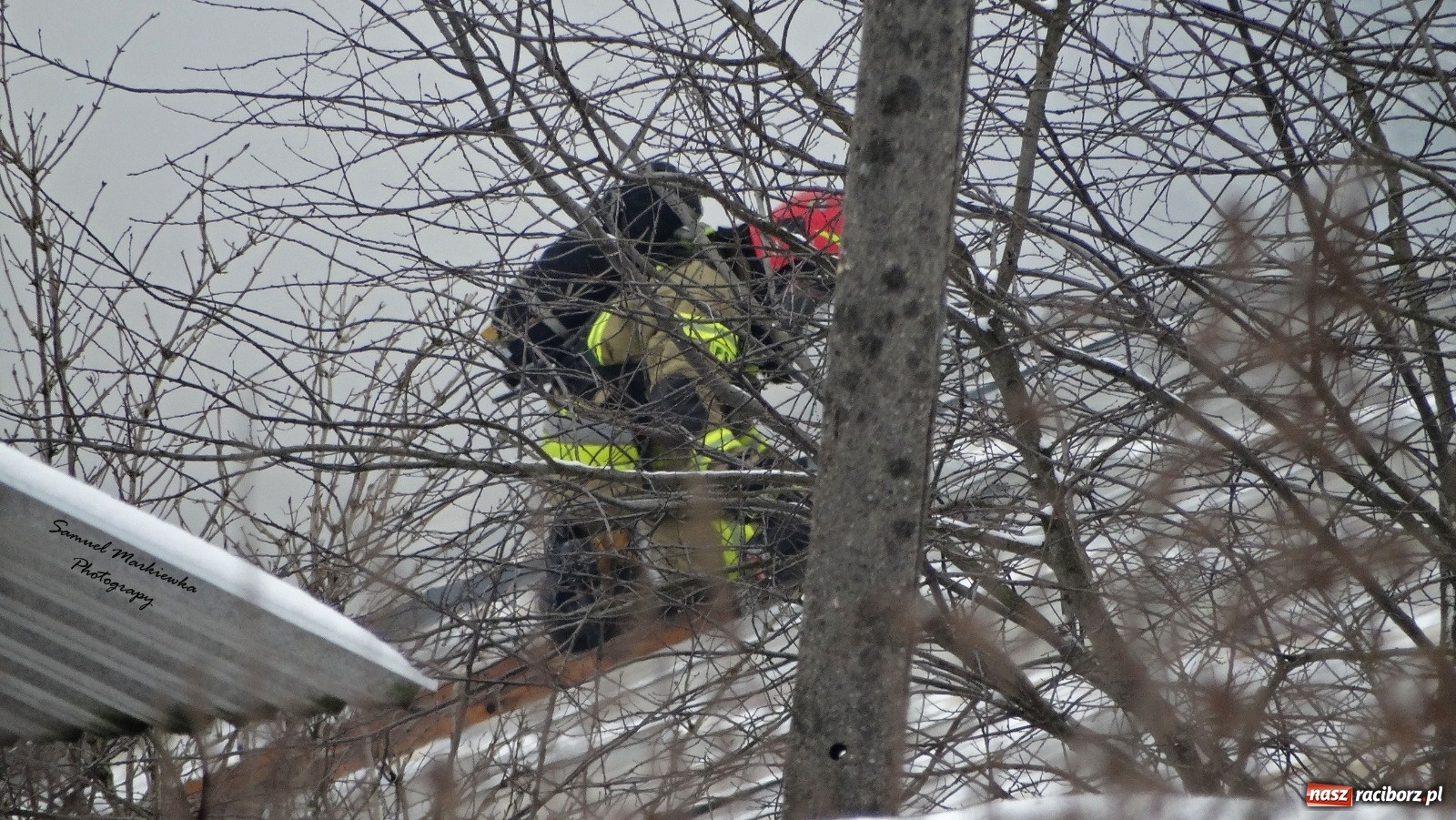 Zdjęcie w galerii na portalu naszraciborz.pl: Dym nad Rudami. Pożar na farmie drobiu wiadomości z regionu