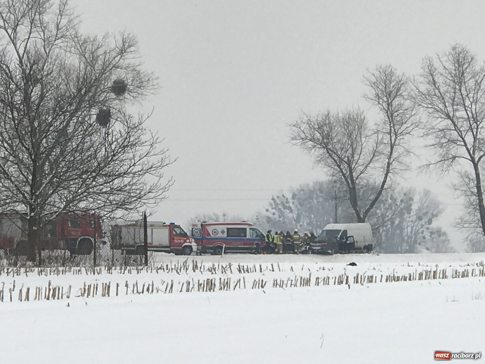 Zdjęcie w galerii na portalu naszraciborz.pl: Czołowe zderzenie na DW 416 w Żerdzinach [FOTO] wiadomości z regionu