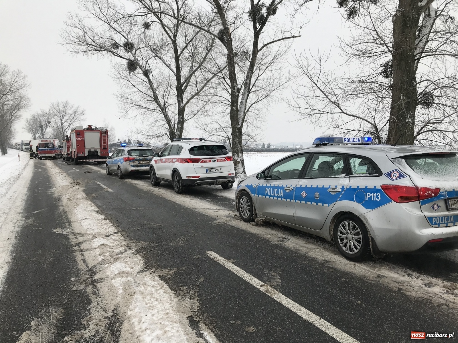 Zdjęcie w galerii na portalu naszraciborz.pl: Czołowe zderzenie na DW 416 w Żerdzinach [FOTO] wiadomości z regionu