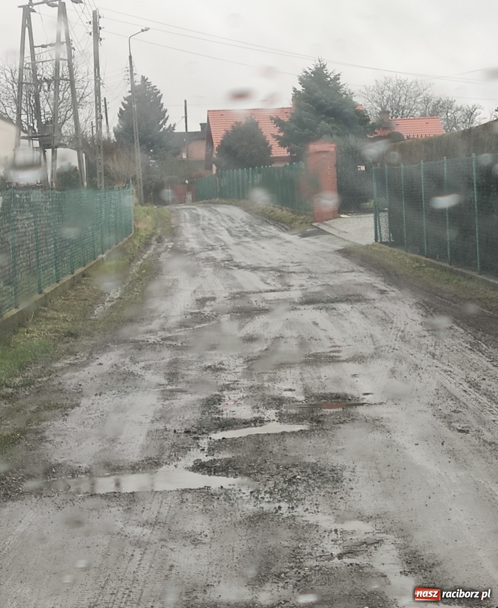 Zdjęcie w galerii na portalu naszraciborz.pl: Tragiczny stan drogi w Kobyli. Urząd odpowiada wiadomości z regionu