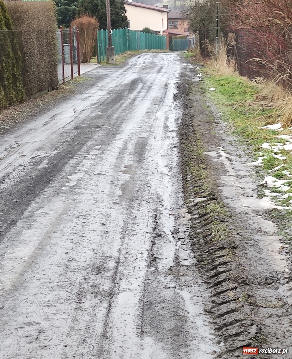 Zdjęcie w galerii na portalu naszraciborz.pl: Tragiczny stan drogi w Kobyli. Urząd odpowiada wiadomości z regionu