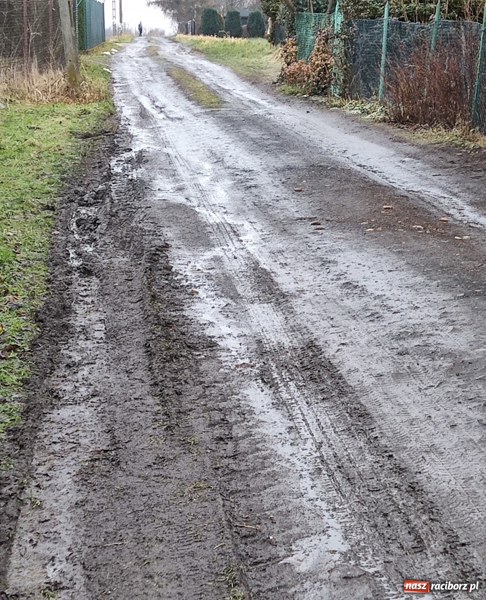 Zdjęcie w galerii na portalu naszraciborz.pl: Tragiczny stan drogi w Kobyli. Urząd odpowiada wiadomości z regionu