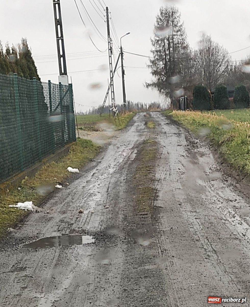 Zdjęcie w galerii na portalu naszraciborz.pl: Tragiczny stan drogi w Kobyli. Urząd odpowiada wiadomości z regionu