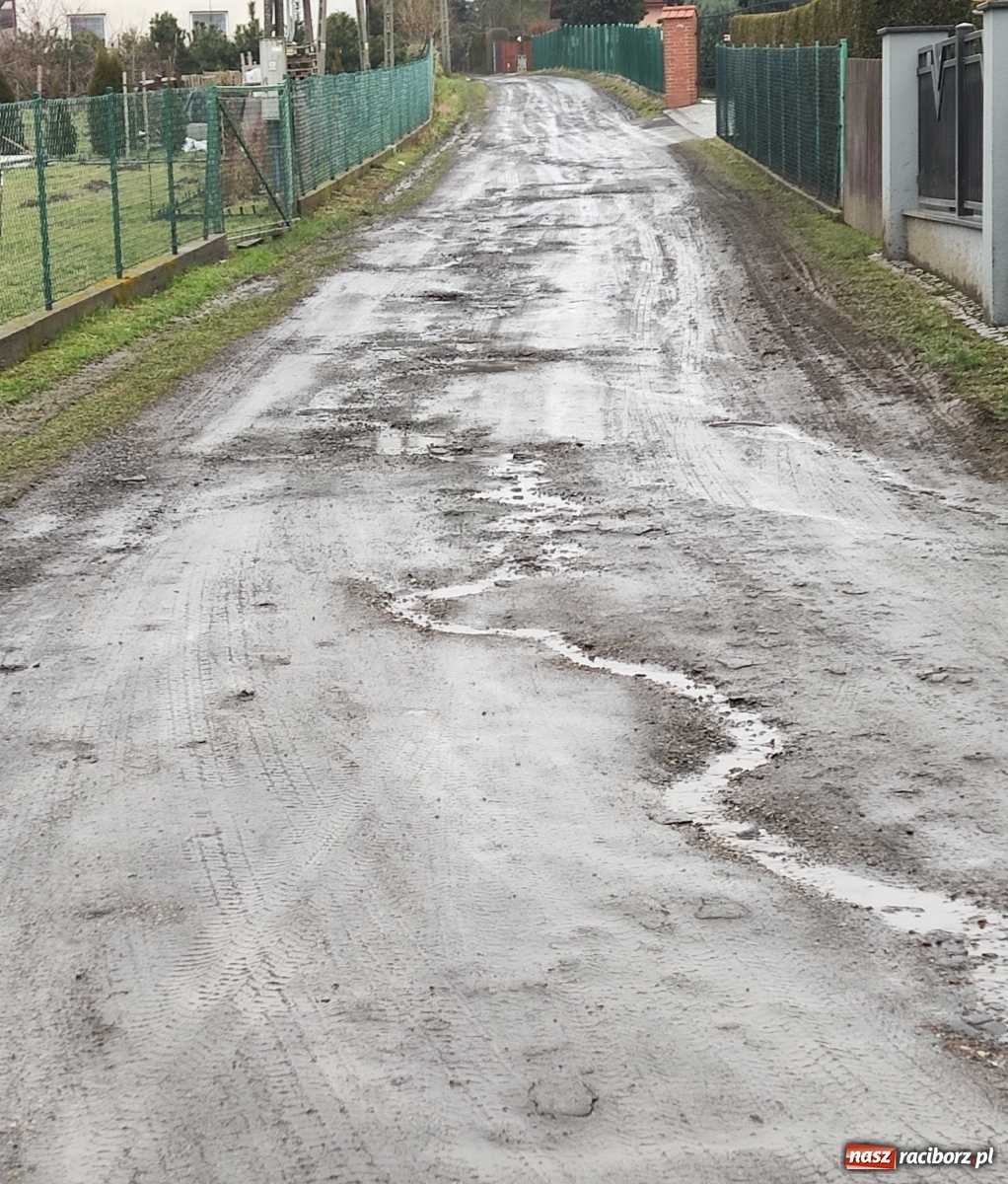Zdjęcie w galerii na portalu naszraciborz.pl: Tragiczny stan drogi w Kobyli. Urząd odpowiada wiadomości z regionu