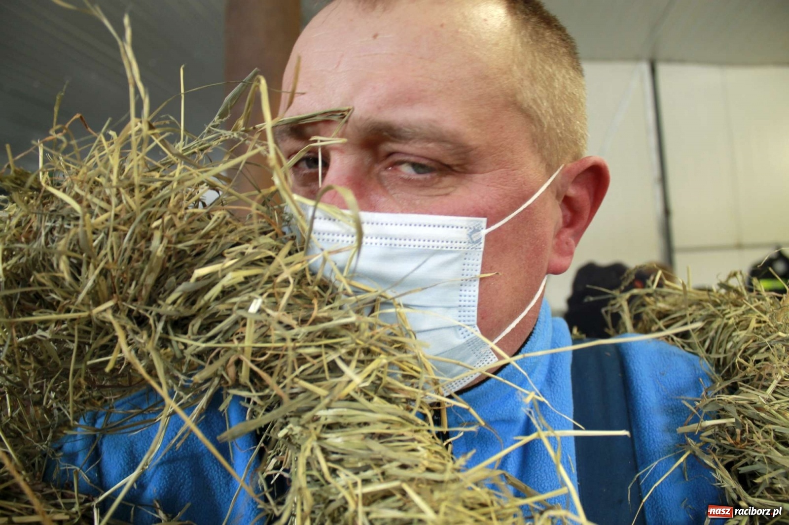 Zdjęcie w galerii na portalu naszraciborz.pl: Samborowice nie odpuściły. Dziś odbył się Tanzbär [FOTO i WIDEO] wiadomości z regionu