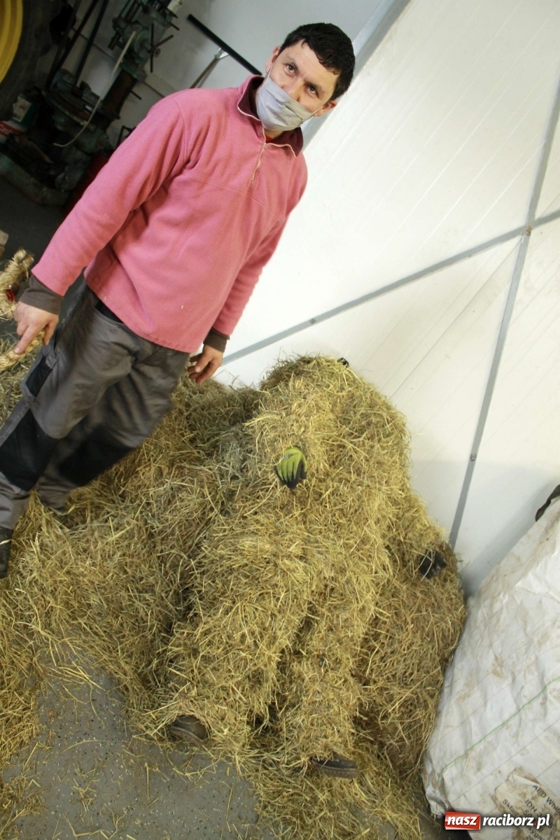 Zdjęcie w galerii na portalu naszraciborz.pl: Samborowice nie odpuściły. Dziś odbył się Tanzbär [FOTO i WIDEO] wiadomości z regionu