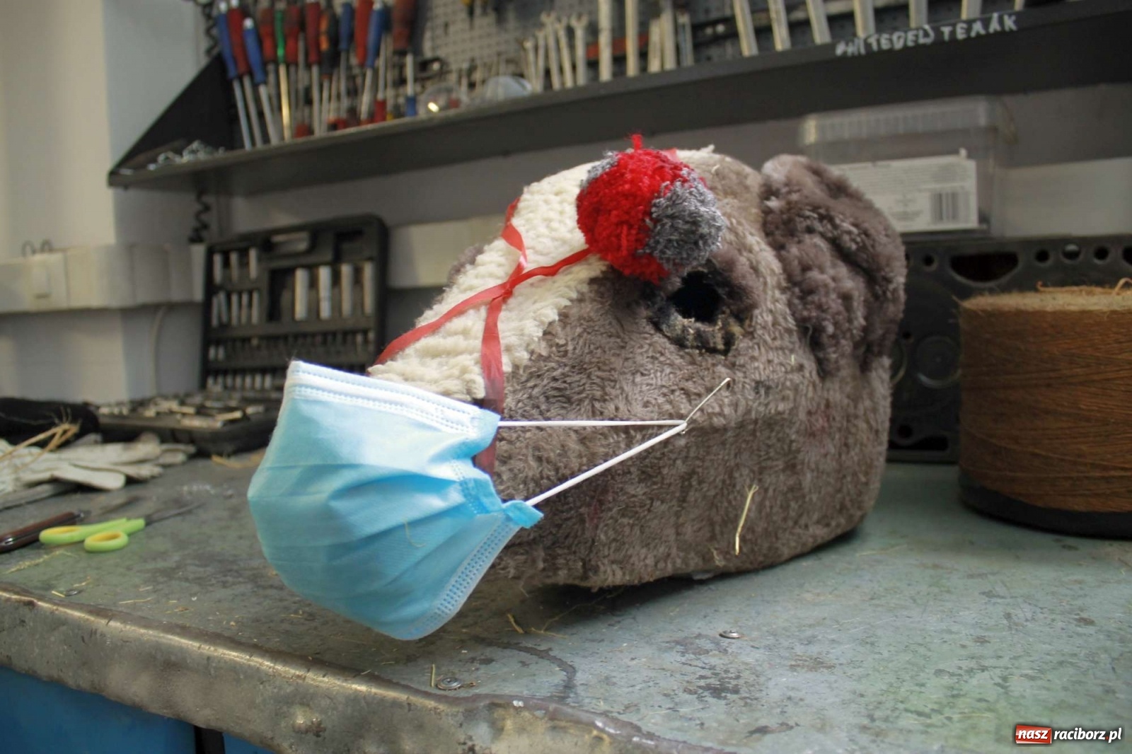 Zdjęcie w galerii na portalu naszraciborz.pl: Samborowice nie odpuściły. Dziś odbył się Tanzbär [FOTO i WIDEO] wiadomości z regionu