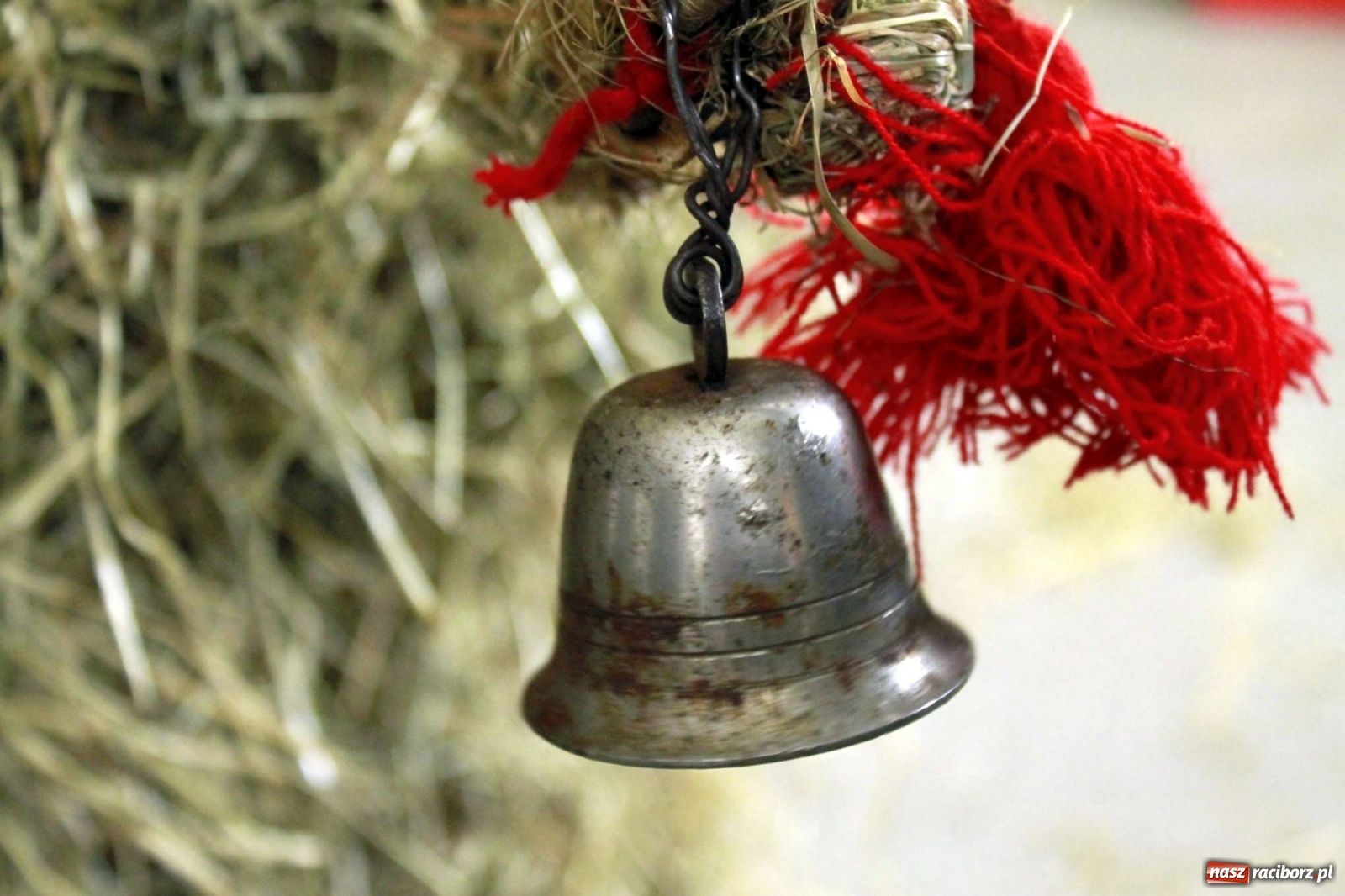 Zdjęcie w galerii na portalu naszraciborz.pl: Samborowice nie odpuściły. Dziś odbył się Tanzbär [FOTO i WIDEO] wiadomości z regionu