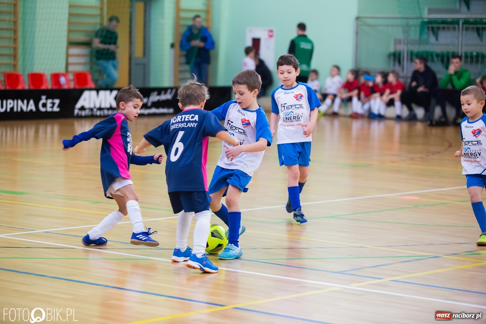 Zdjęcie w galerii na portalu naszraciborz.pl: Młodzi piłkarze walczą w Arenie Rafako [FOTO] wiadomości z regionu