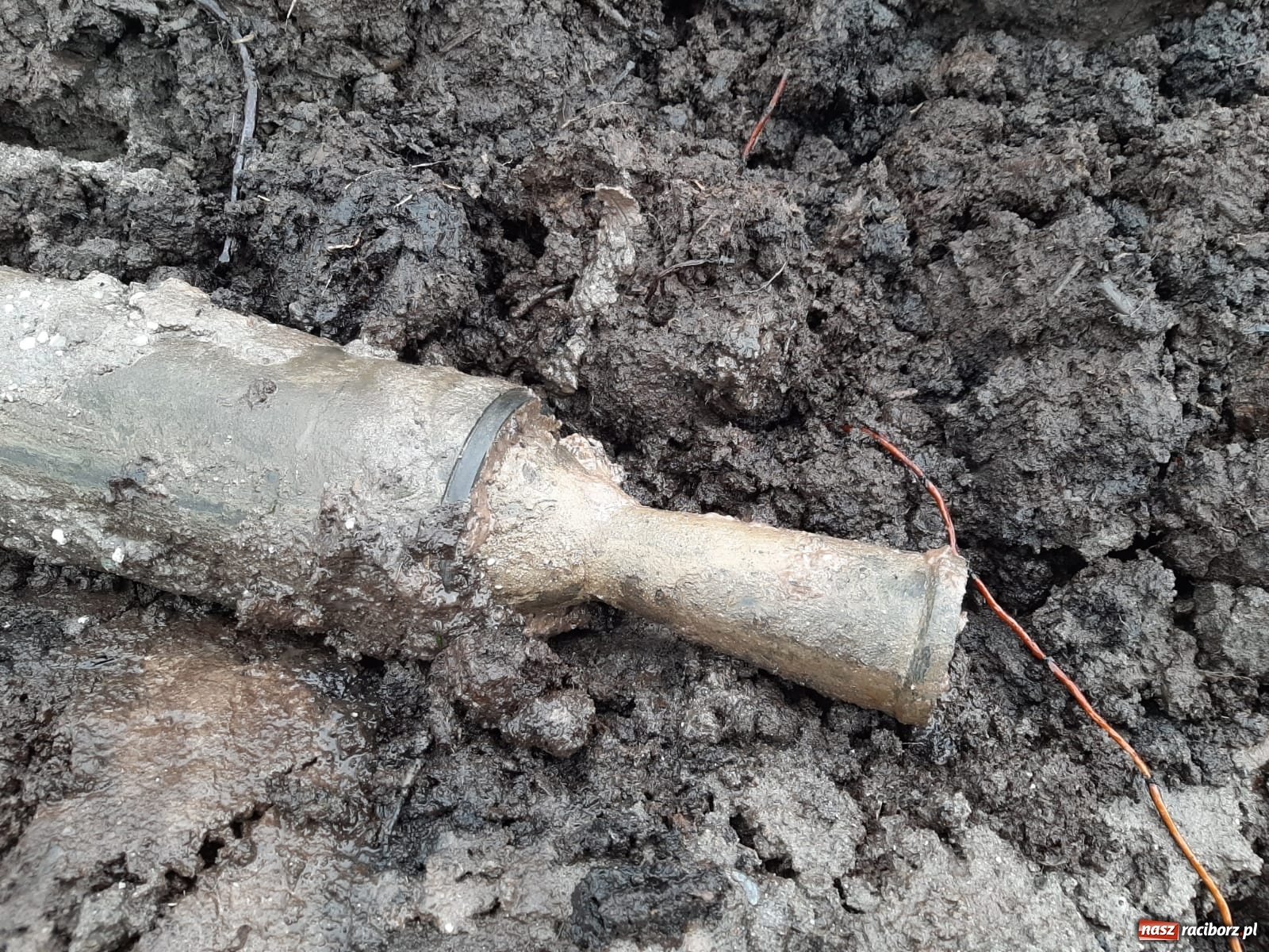 Zdjęcie w galerii na portalu naszraciborz.pl: W Tworkowie znaleziono pocisk do katiuszy wiadomości z regionu