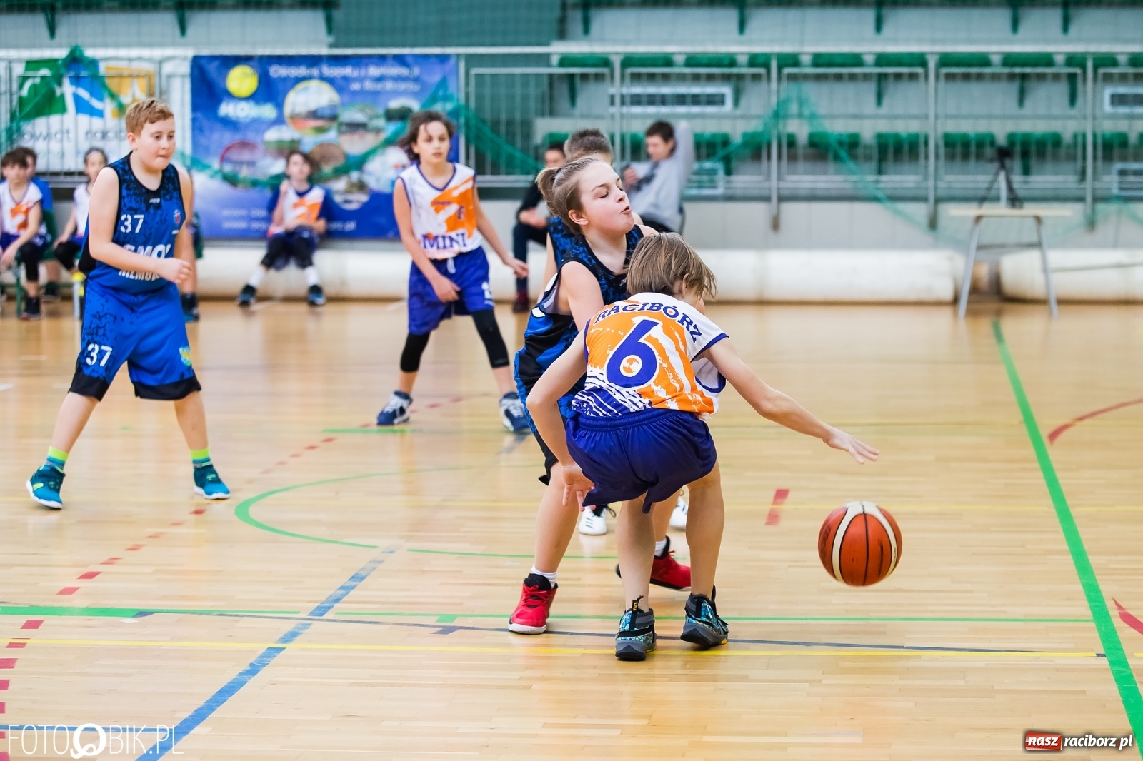 Zdjęcie w galerii na portalu naszraciborz.pl: Koszykarska sobota w Arenie Rafako [FOTO] wiadomości z regionu