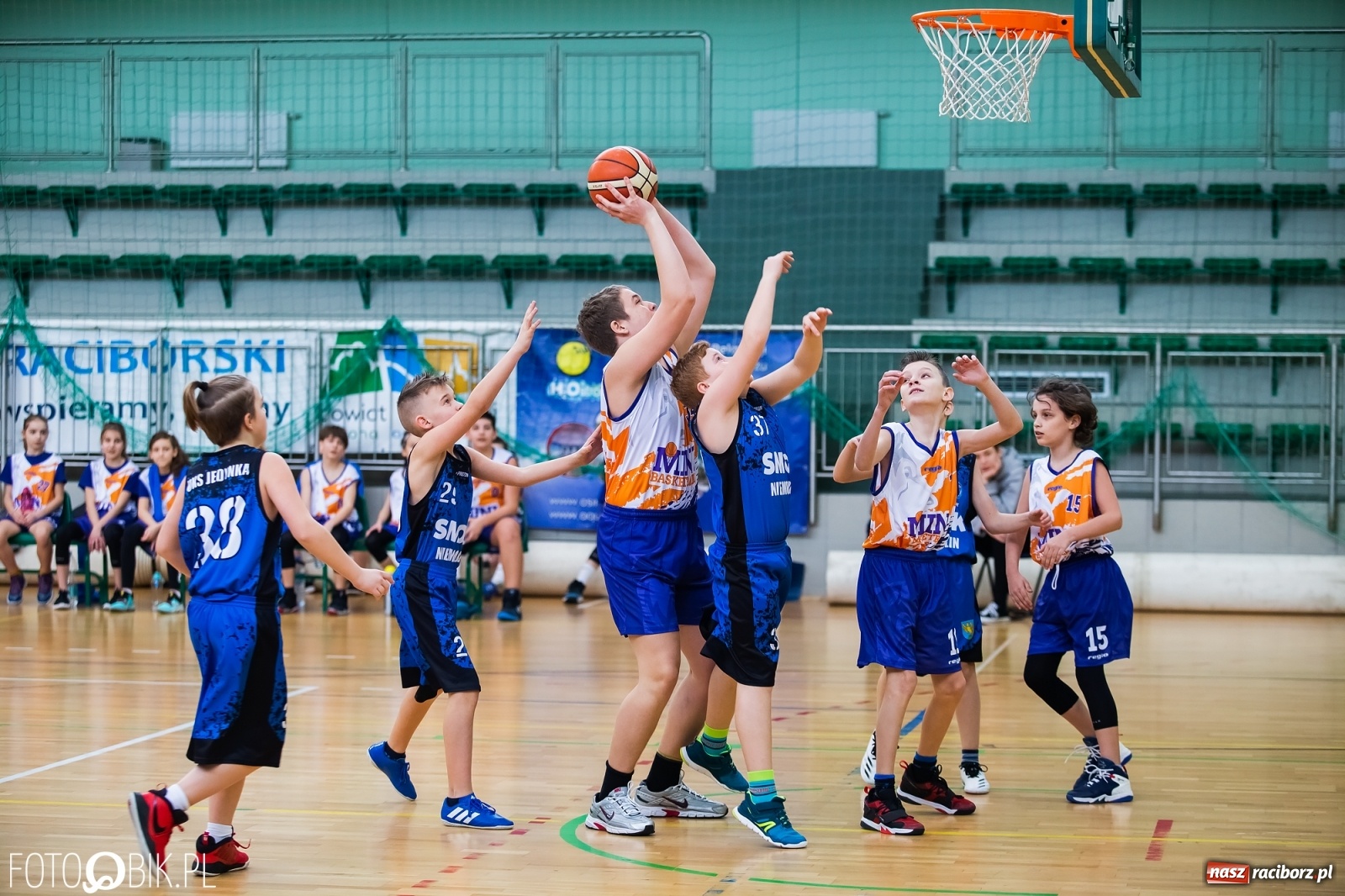 Zdjęcie w galerii na portalu naszraciborz.pl: Koszykarska sobota w Arenie Rafako [FOTO] wiadomości z regionu