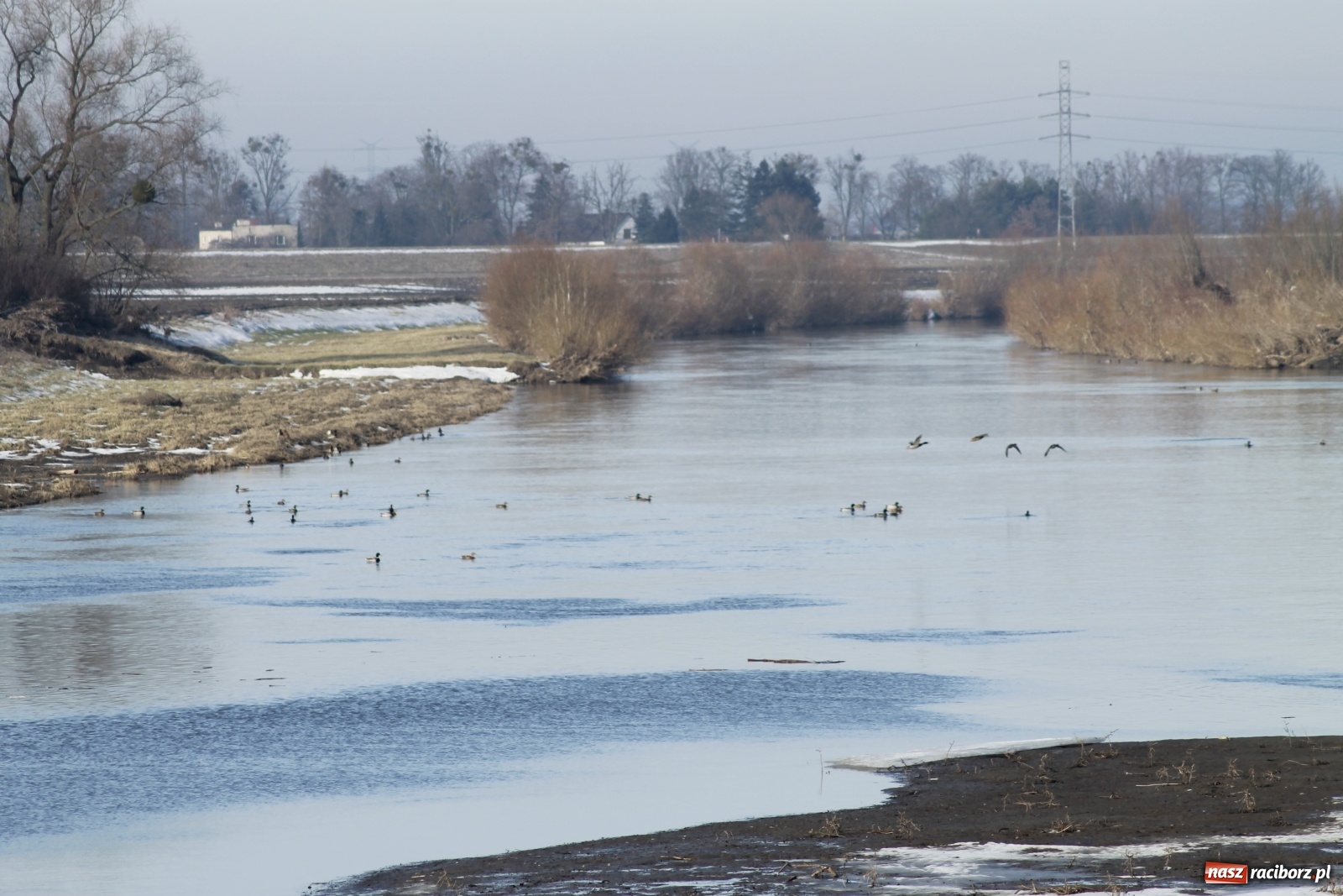 Zdjęcie w galerii na portalu naszraciborz.pl: Komunikat hydrologiczny. Czeskie zbiorniki z pełną rezerwą powodziową wiadomości z regionu