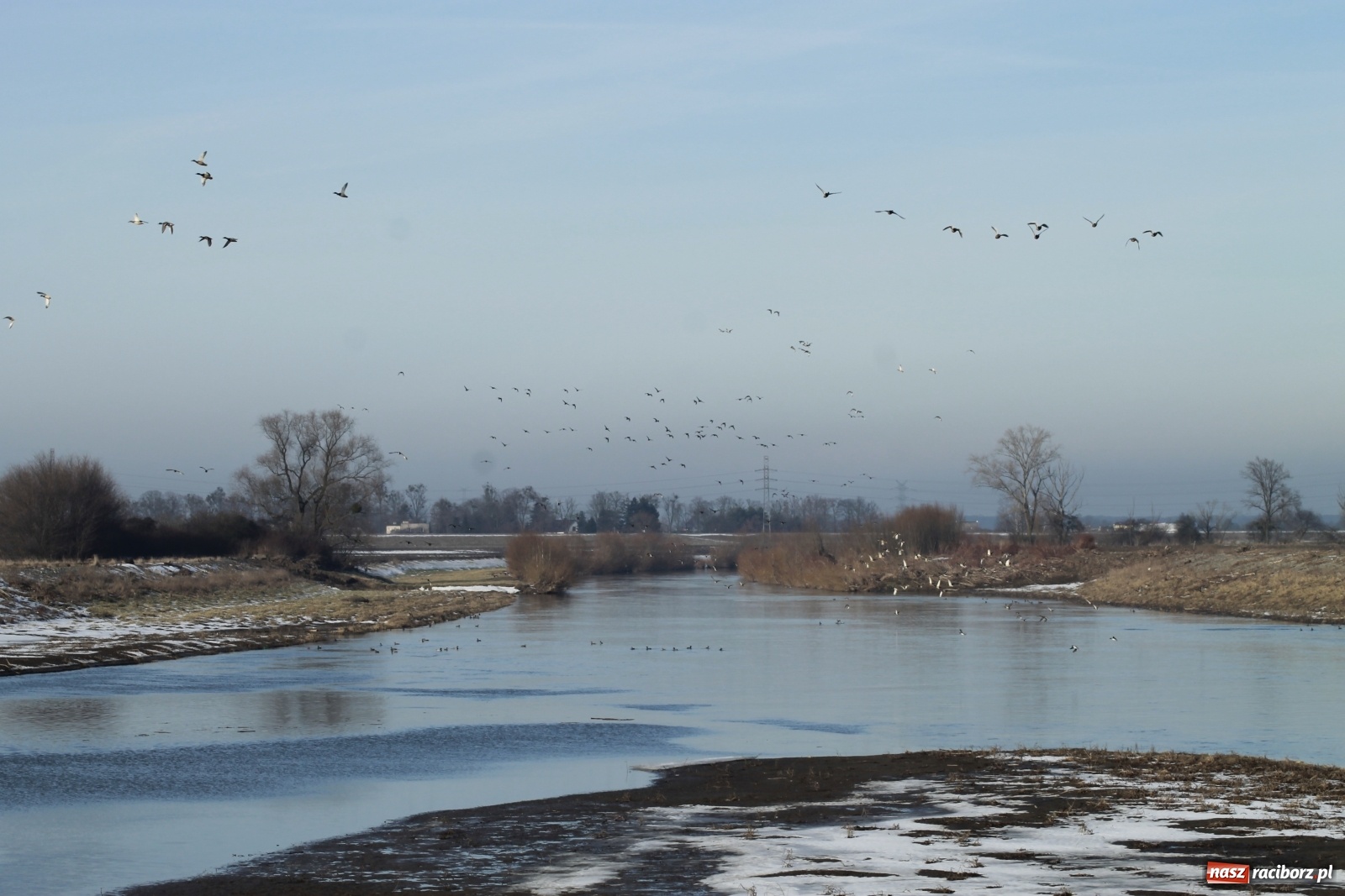Zdjęcie w galerii na portalu naszraciborz.pl: Komunikat hydrologiczny. Czeskie zbiorniki z pełną rezerwą powodziową wiadomości z regionu