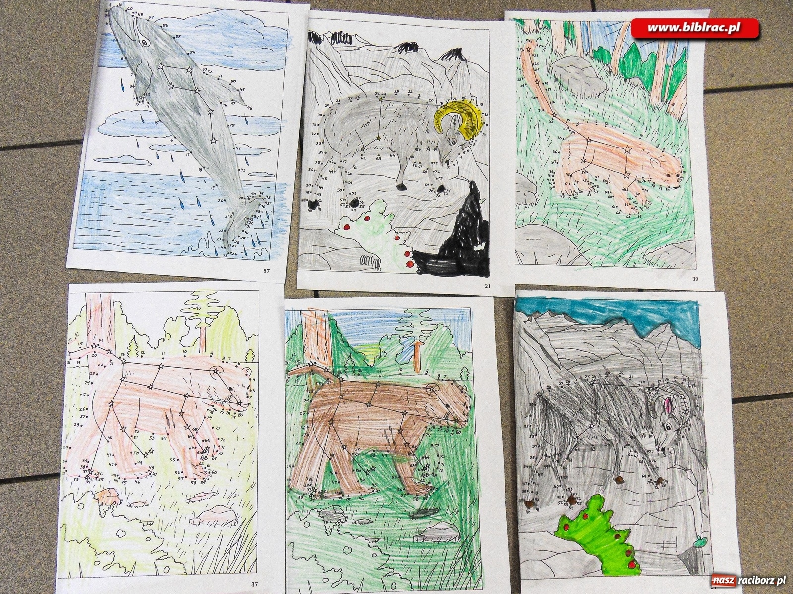 Zdjęcie w galerii na portalu naszraciborz.pl: Czytam sobie. Pierwsza klasa! Akcja czytelnicza w bibliotece w Markowicach wiadomości z regionu