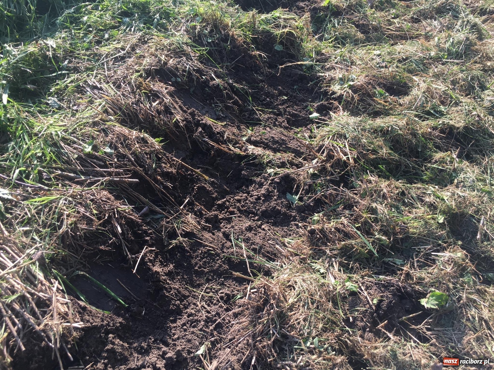 Zdjęcie w galerii na portalu naszraciborz.pl: Co z placem zabaw przy P24? Jutro wizja w terenie wiadomości z regionu