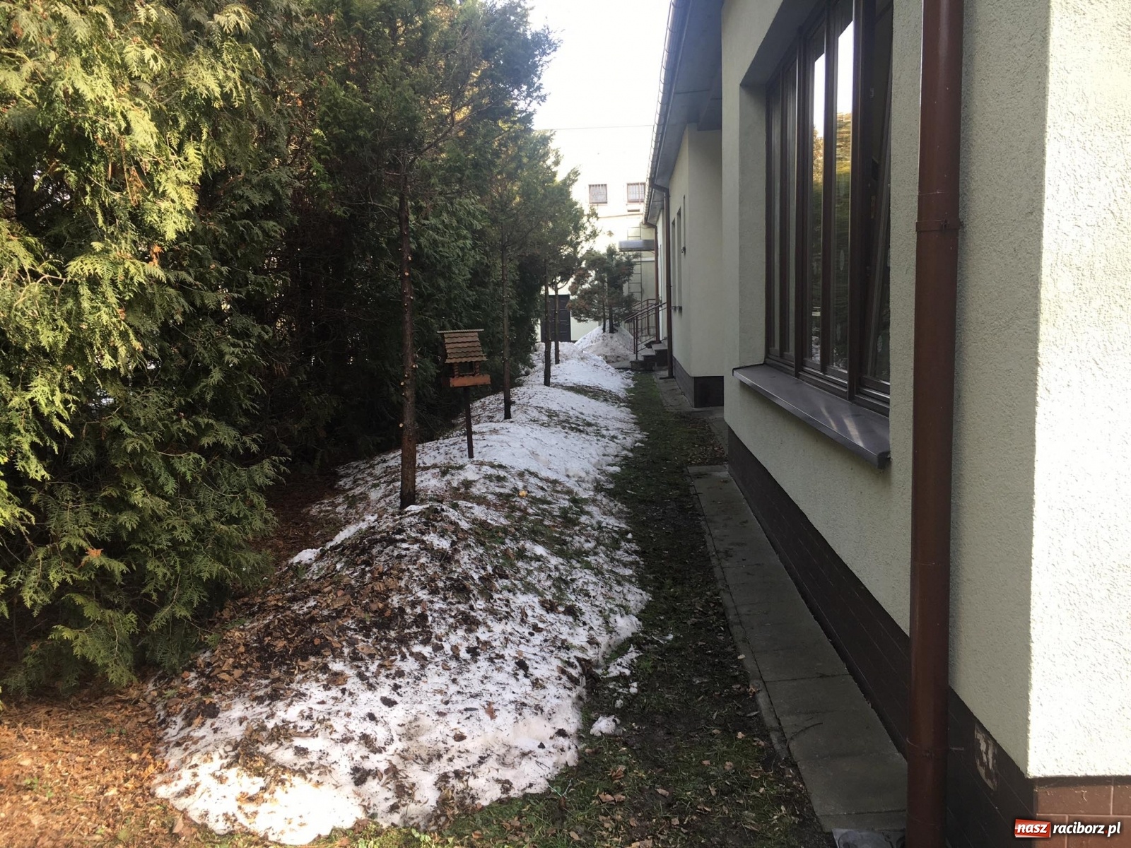 Zdjęcie w galerii na portalu naszraciborz.pl: Co z placem zabaw przy P24? Jutro wizja w terenie wiadomości z regionu