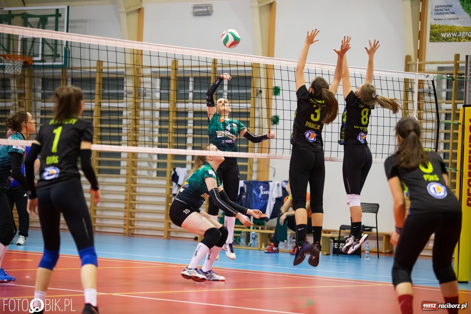 Zdjęcie w galerii na portalu naszraciborz.pl: Komplet punktów siatkarek Krzanowic [FOTO]  wiadomości z regionu