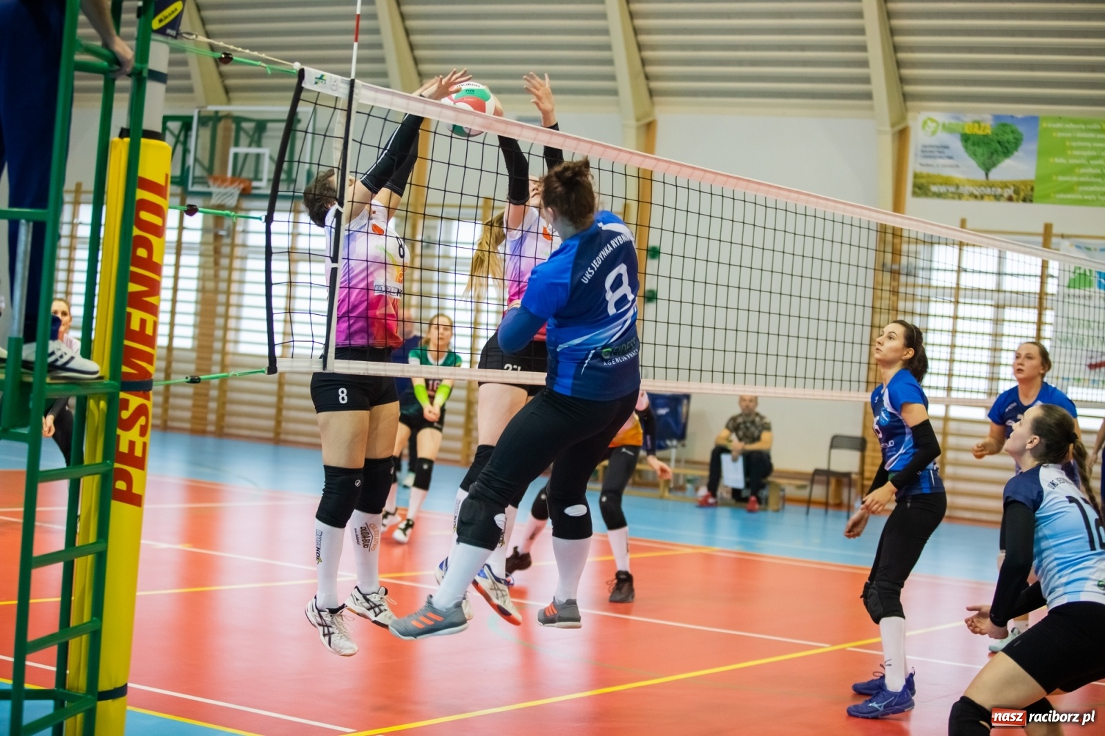 Zdjęcie w galerii na portalu naszraciborz.pl: Raz na wozie, raz pod wozem. Derbowa porażka siatkarek Krzanowic [FOTO i WIDEO] wiadomości z regionu