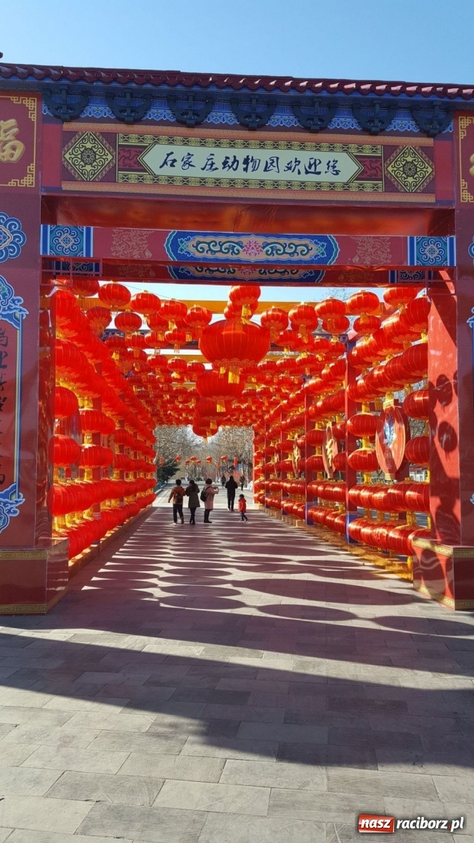 Zdjęcie w galerii na portalu naszraciborz.pl: Rafamet od lat obecny za chińskim murem wiadomości z regionu