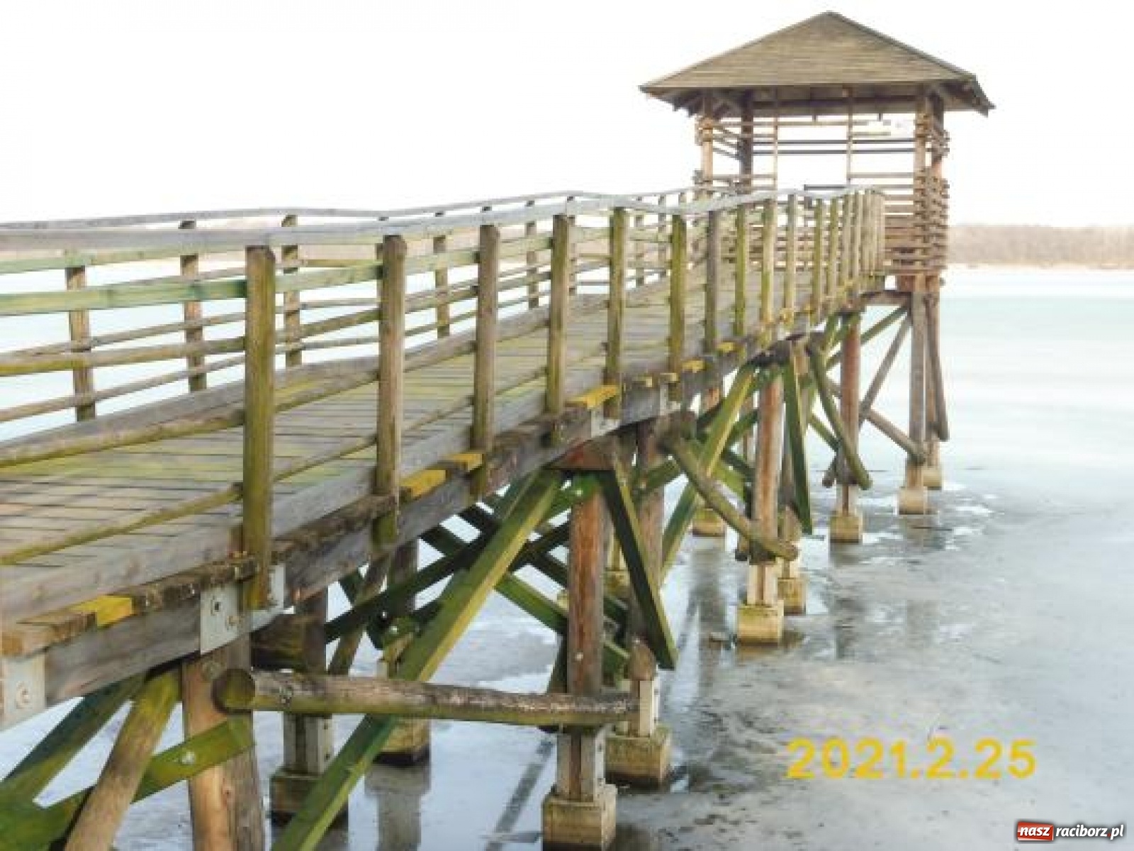 Zdjęcie w galerii na portalu naszraciborz.pl: Platforma widokowa na Łężczoku po remoncie wiadomości z regionu