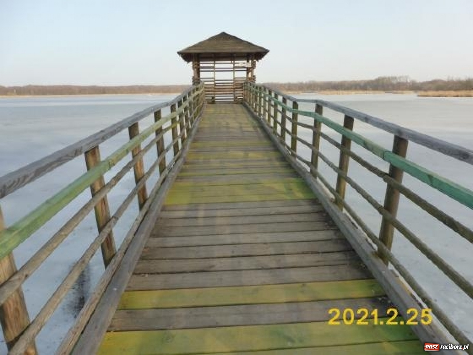 Zdjęcie w galerii na portalu naszraciborz.pl: Platforma widokowa na Łężczoku po remoncie wiadomości z regionu