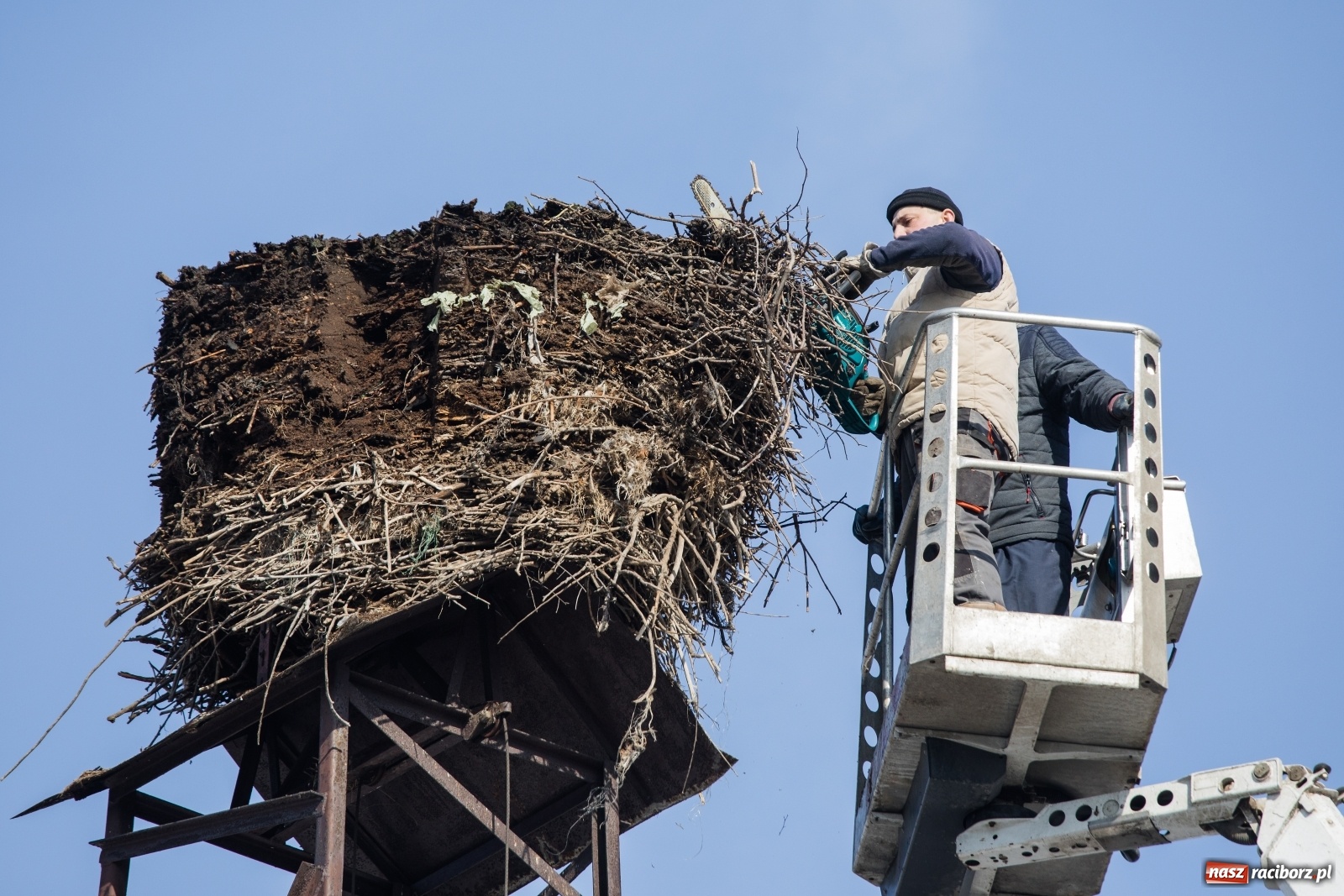 Zdjęcie w galerii na portalu naszraciborz.pl: Strażacy z Gminy Krzanowice pomagają bocianom wiadomości z regionu
