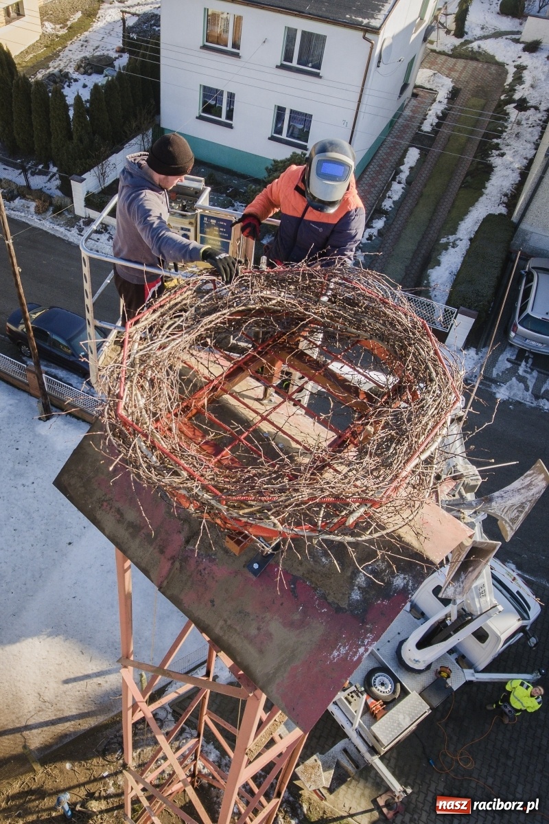 Zdjęcie w galerii na portalu naszraciborz.pl: Strażacy z Gminy Krzanowice pomagają bocianom wiadomości z regionu