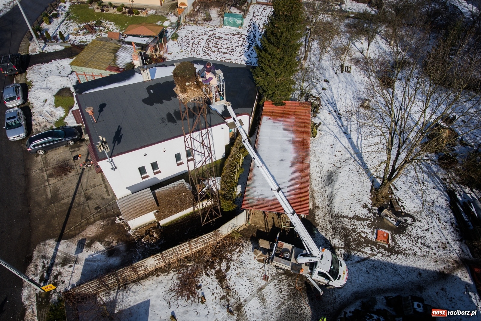 Zdjęcie w galerii na portalu naszraciborz.pl: Strażacy z Gminy Krzanowice pomagają bocianom wiadomości z regionu