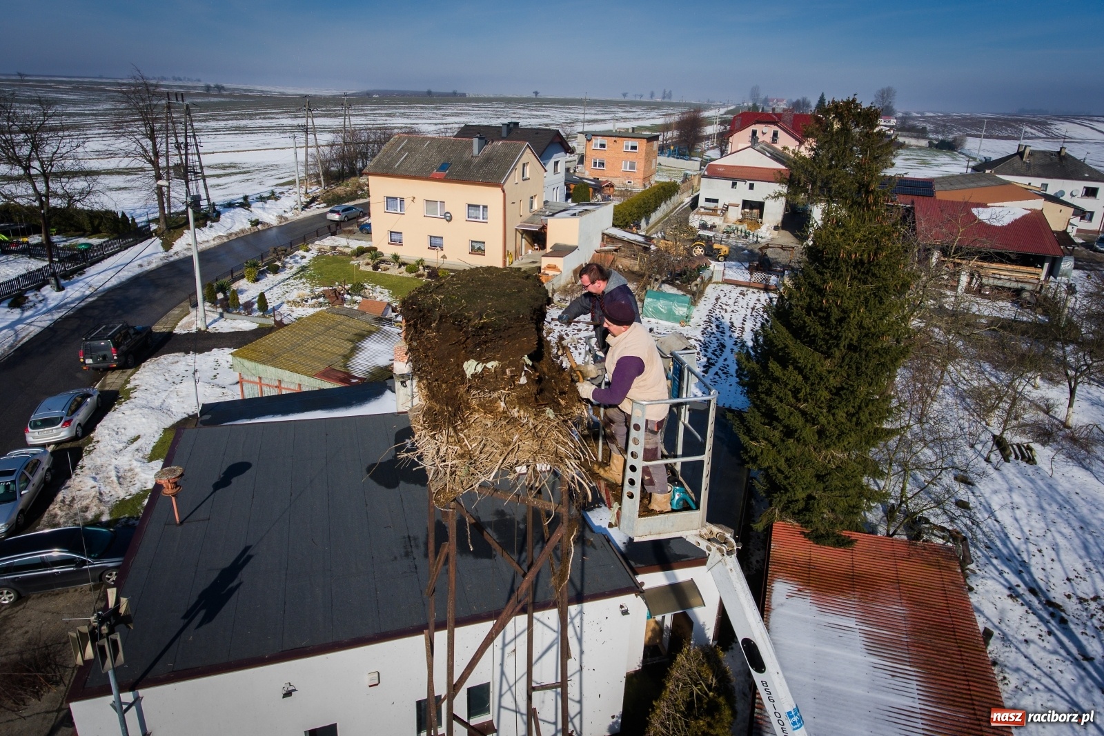 Zdjęcie w galerii na portalu naszraciborz.pl: Strażacy z Gminy Krzanowice pomagają bocianom wiadomości z regionu