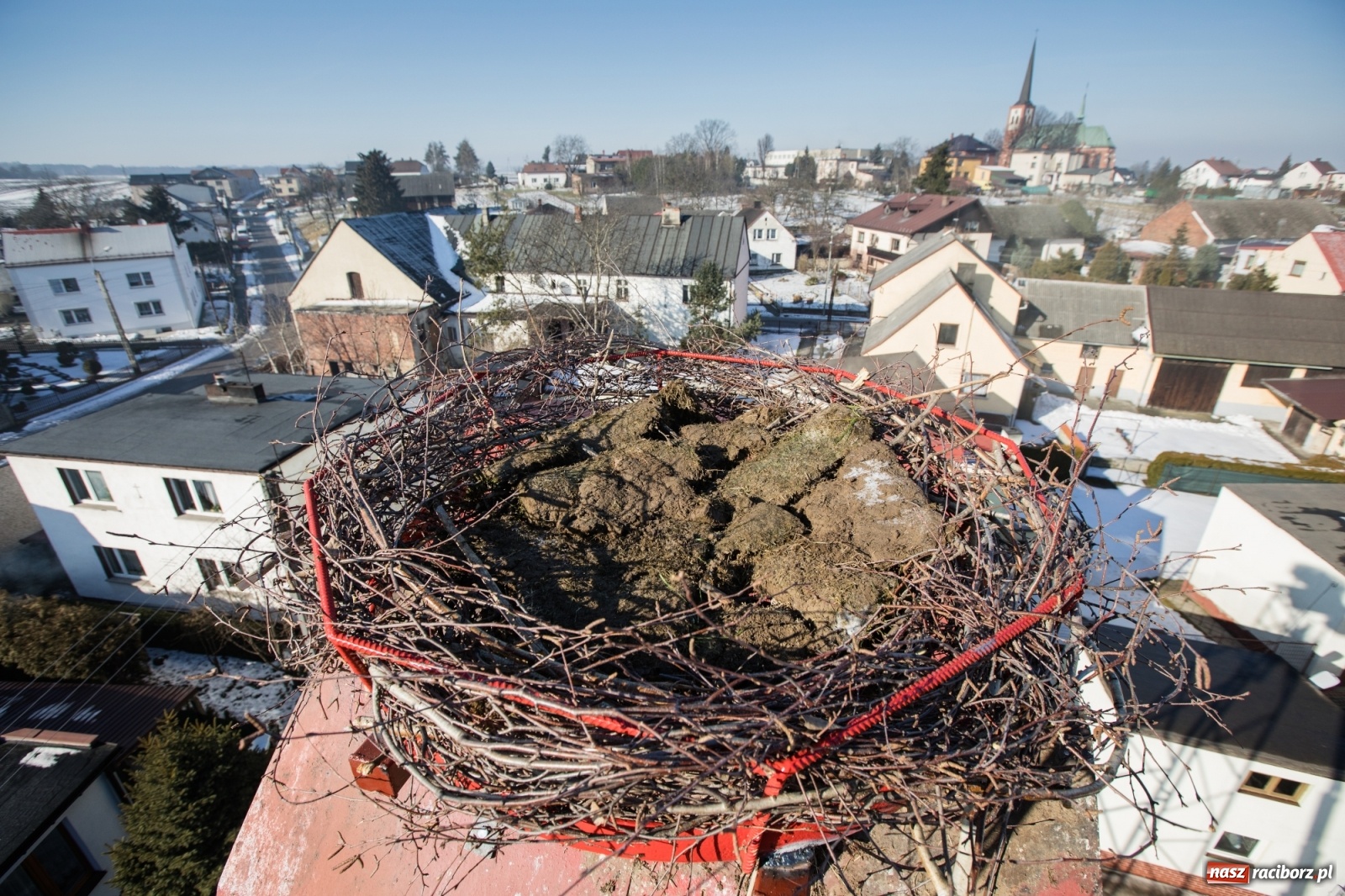 Zdjęcie w galerii na portalu naszraciborz.pl: Strażacy z Gminy Krzanowice pomagają bocianom wiadomości z regionu