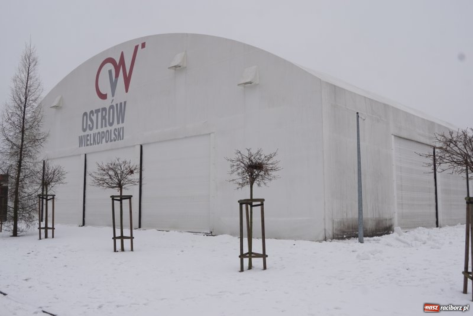 Zdjęcie w galerii na portalu naszraciborz.pl: Z lodowiska na Rynku skorzystało ponad 5 tysięcy osób wiadomości z regionu