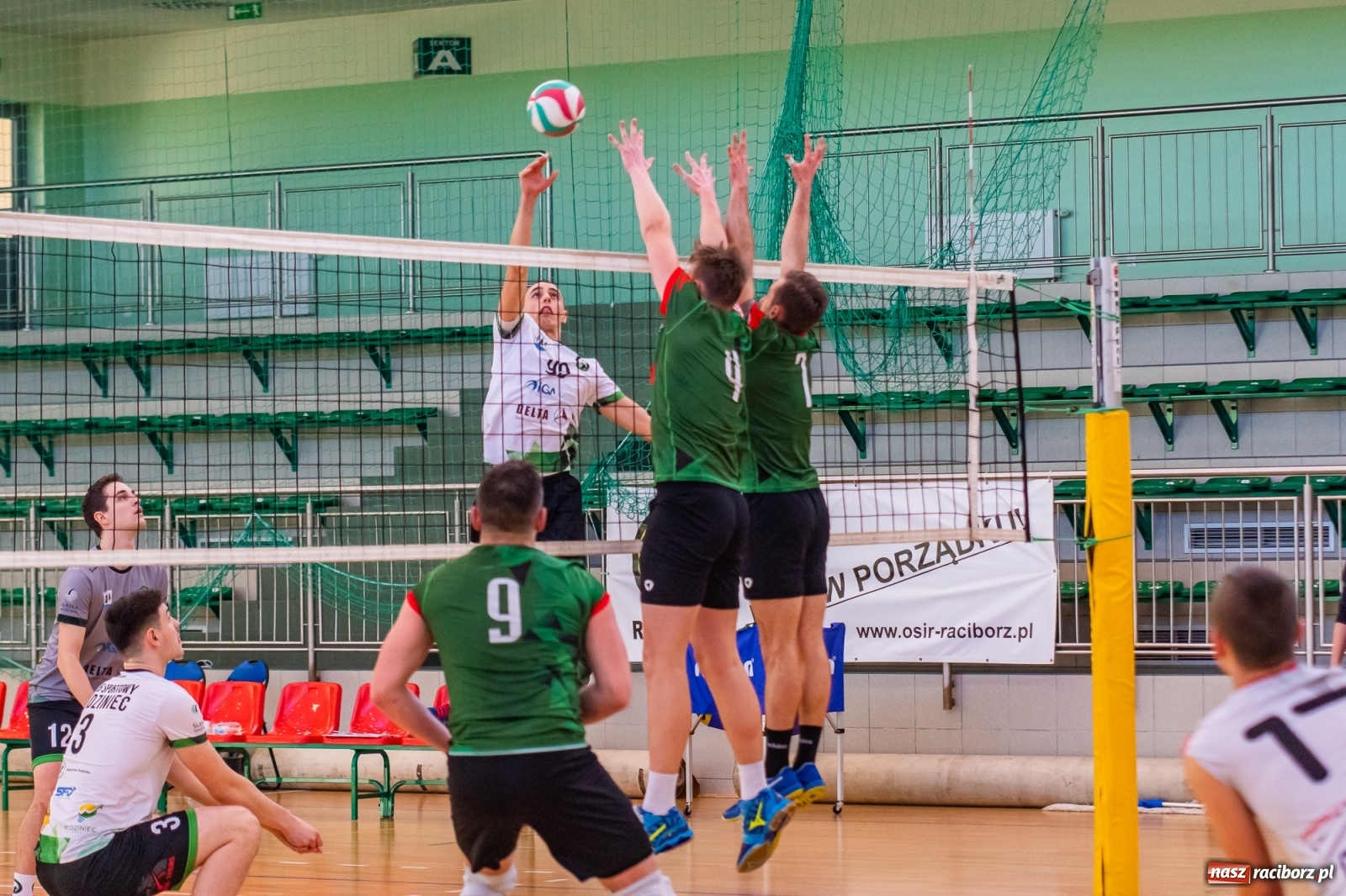 Zdjęcie w galerii na portalu naszraciborz.pl: Waleczna postawa to za mało. Siatkarze Rafako z jednym punktem [FOTO i WIDEO] wiadomości z regionu