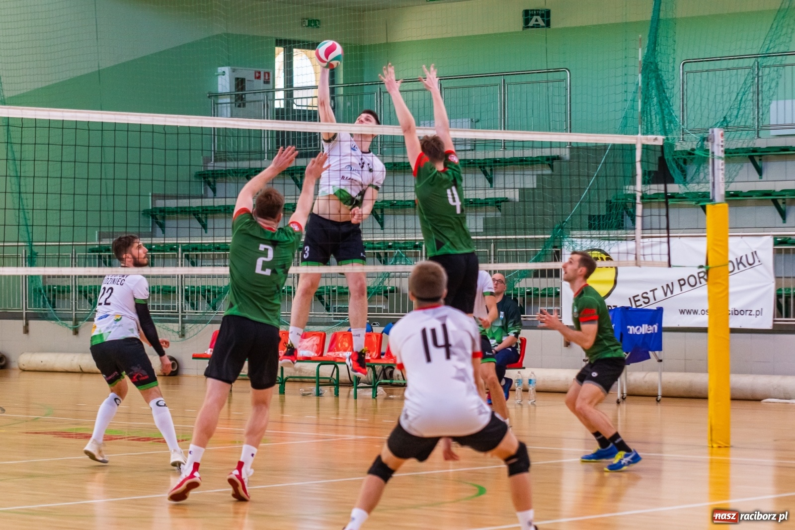 Zdjęcie w galerii na portalu naszraciborz.pl: Waleczna postawa to za mało. Siatkarze Rafako z jednym punktem [FOTO i WIDEO] wiadomości z regionu